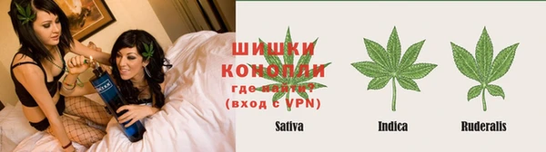 крисы Козловка