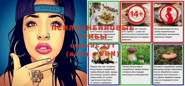 Альфа ПВП Кодинск