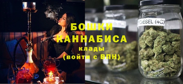 мдпв Рославль