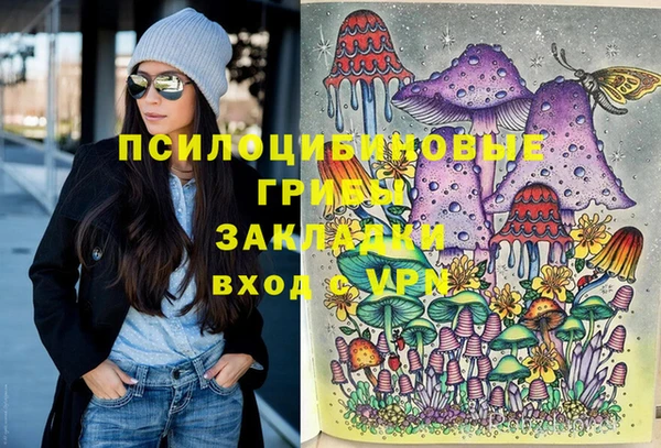 крисы Козловка