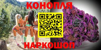 круглые Бийск