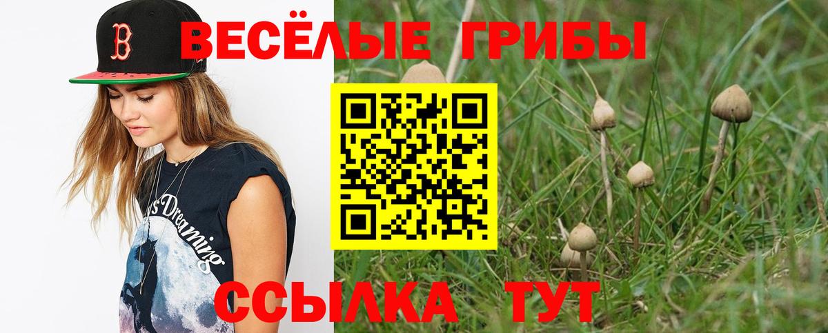 Псилоцибиновые грибы MAGIC MUSHROOMS  Галлюциногенные грибы мицелий  Вход с VPN  Ноябрьск 